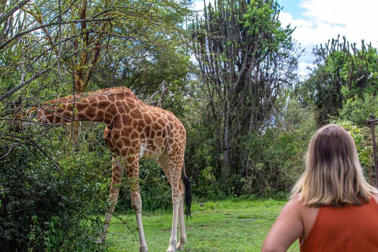 Mbweha Camp Lake Nakuru Elmenteita Esterno foto