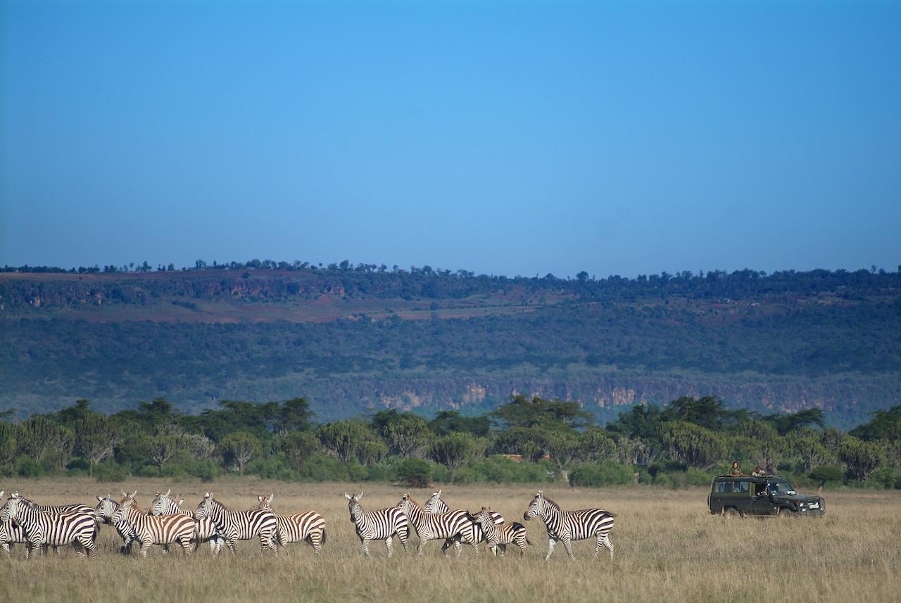 Mbweha Camp Lake Nakuru Elmenteita Esterno foto