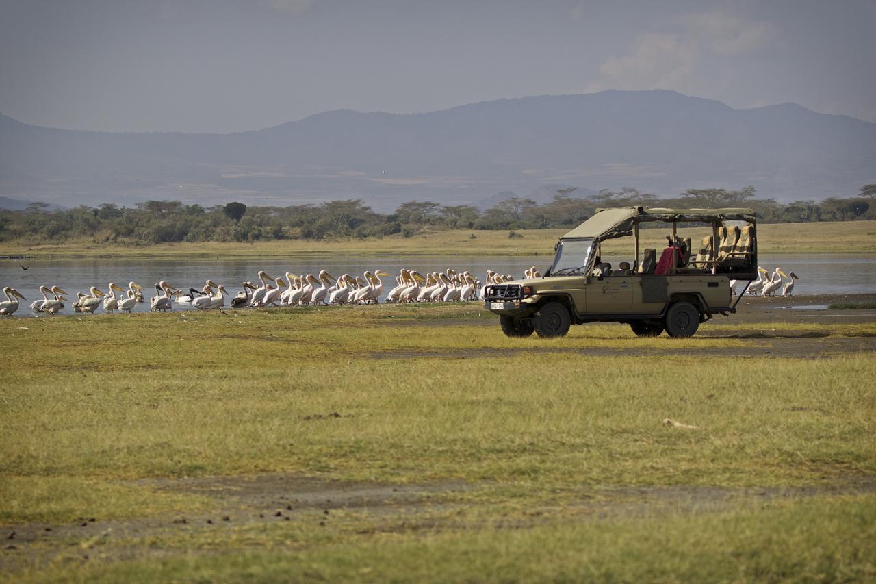 Mbweha Camp Lake Nakuru Elmenteita Esterno foto