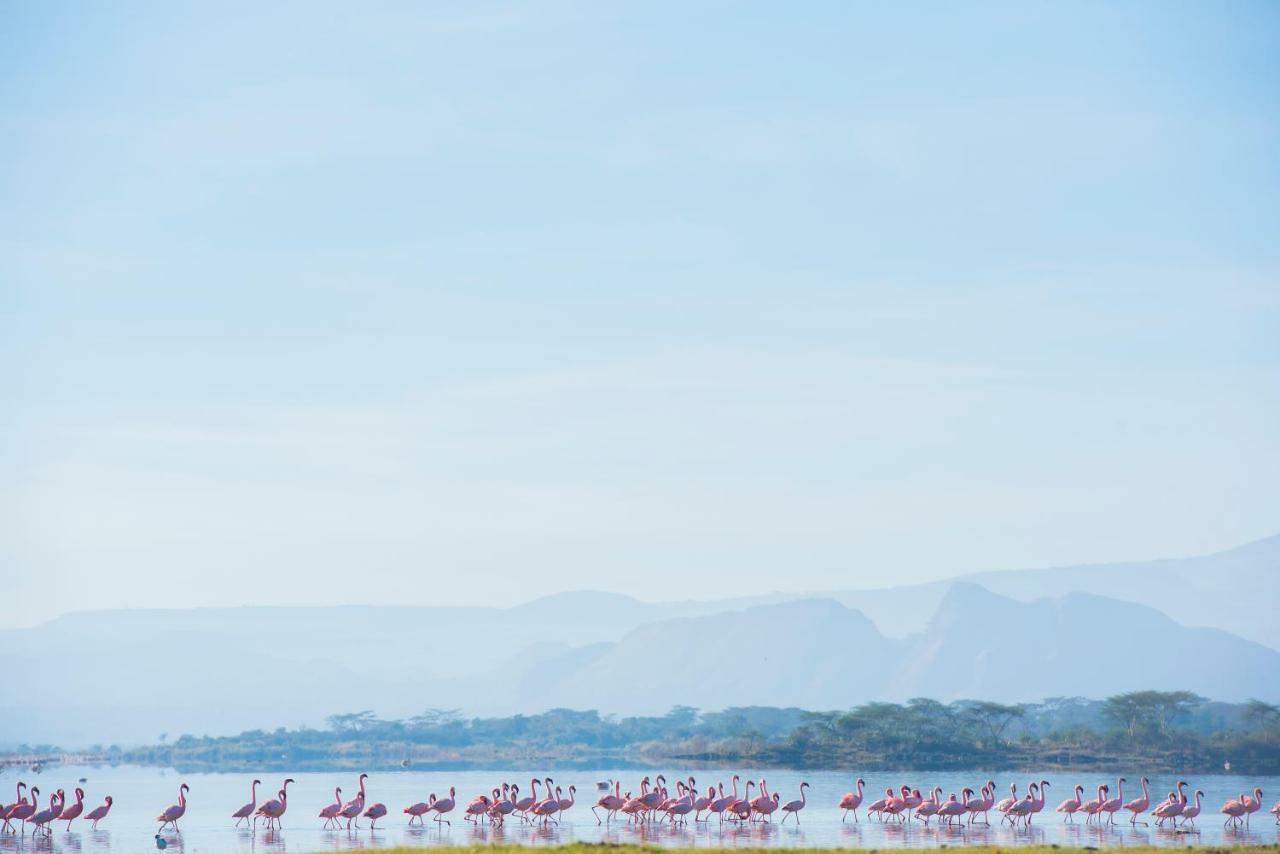 Mbweha Camp Lake Nakuru Elmenteita Esterno foto